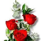 Ariz flowers  -  Red Grace: 3 Red Roses and Green Flower Bouquet/Arrangement