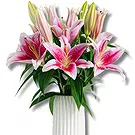 Italy flowers  -  Better Together: Pink Lily Display Flower Bouquet/Arrangement