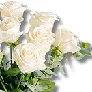 Italy flowers  -  Peace of Mind: Pure Ivory Rose Beauty Flower Bouquet/Arrangement
