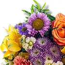 Klein-Wien Blumen Florist- Flower Power Bouquet/Blumenschmuck