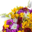 Wiener Neustadt Blumen Florist- Santini Mix Bouquet/Blumenschmuck