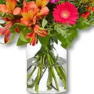 Holland blomster- Tropisk buket Ida Blomst buket/Arrangement