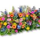Holland flowers  -  Whole Box Piece 180-200 cm - Wild Flowers Flower Bouquet/Arrangement