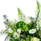 Holandia kwiaty- Bukiet Współczucia Biały + Wazon Bukiet ikiebana