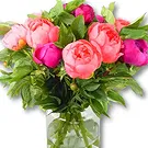 Holland flowers  -  Mixed Peony Bouquet Flower Bouquet/Arrangement