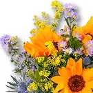Maastricht Blumen Florist- Sonnenblumenstrauß Marina Bouquet/Blumenschmuck