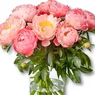 Amsterdam-Zuidoost flowers  -  Peonies Bouquet Loua Flower Bouquet/Arrangement