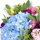 An-Najadah blomster- Bukett med blå hortensia og lilla roser Blomsterarrangementer bukett