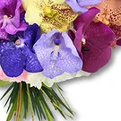 United Arab Emirates flowers  -  FAIRY ORCHIDS Flower Bouquet/Arrangement