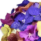 United Arab Emirates flowers  -  FAIRY ORCHIDS Flower Bouquet/Arrangement