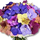 United Arab Emirates flowers  -  FAIRY ORCHIDS Flower Bouquet/Arrangement