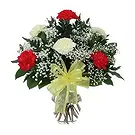 Ad Dilam blomster- Blandede farger nelliker Blomsterarrangementer bukett
