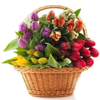 بائع زهور ميلان- سلة من زهور التوليب الملونة