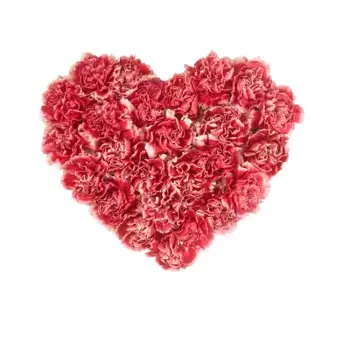 بائع زهور ميلان- قلب جنازة القرنفل الوردي