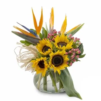 بائع زهور ميلان- تكوين عباد الشمس والجنيه الاسترليني