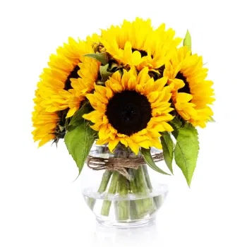 بائع زهور صقلية- عباد الشمس في إناء
