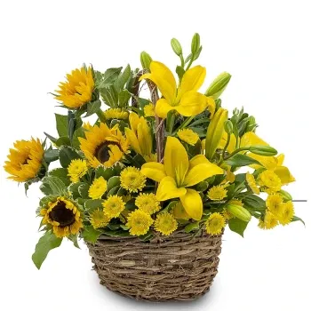 시칠리아 꽃- 해바라기와 노란 꽃의 구성