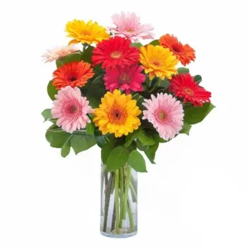 بائع زهور ميلان- تكوين مزهرية مع جربيرا ملونة