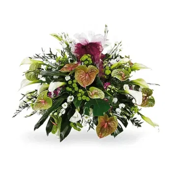 بائع زهور صقلية- ترتيب الجنازة الثمينة