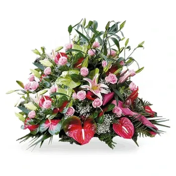 Milano blomster- Begravelsesblomsterpute Med Anthurium