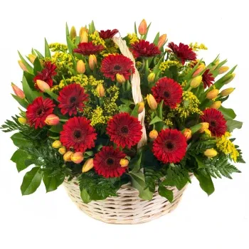 Sicily flowers  -  Basket Of Gerberas And Tulips