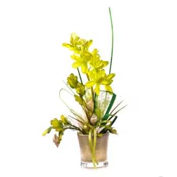 neapol kvety- Žltá Orchidea Cymbidium