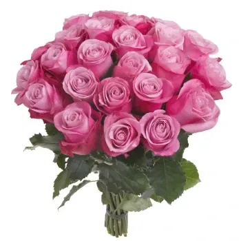 neapol kvety- Zloženie 24 Ružových Ruží So Zeleňou