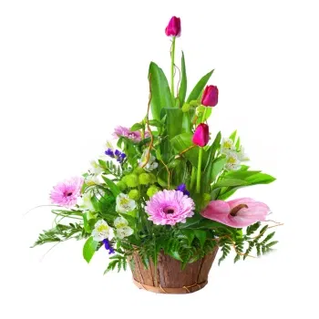 بائع زهور صقلية- تكوين الأزهار مع أنثوريوم