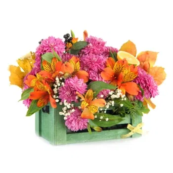 بائع زهور صقلية- تكوين الأزهار في وعاء مع الزنابق