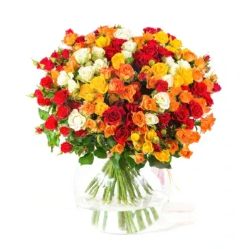 بائع زهور صقلية- ألوان مختلفة تكوين الزهور الجميلة