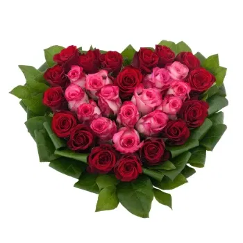 시칠리아 꽃- 핑크색과 붉은 장미의 구성