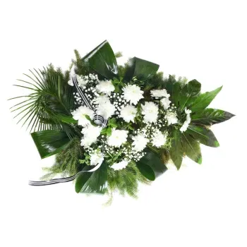بائع زهور صقلية- نخلة جنائزية مع زهور بيضاء