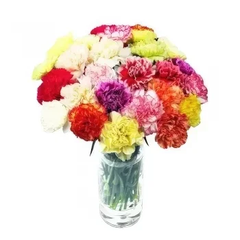 Gradec rože- Poln veselja Cvet šopek/dogovor