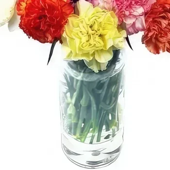 بائع زهور إنسبروك- مليئة بالبهجة باقة الزهور
