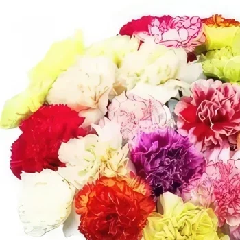 بائع زهور إنسبروك- مليئة بالبهجة باقة الزهور