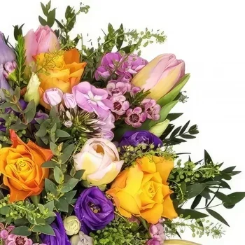 ליכטנשטיין פרחים- משחק צבעים זר פרחים/סידור פרחים