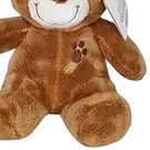 Balzers flori- Teddy Buchet/aranjament floral