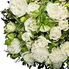 fiorista fiori di Schellenberg- La pace Bouquet floreale