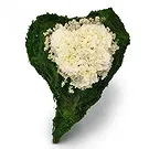 Verossaz flowers  -  Heart Flower Bouquet/Arrangement