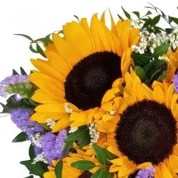 flores de Basileia- Sol com balão Bouquet/arranjo de flor