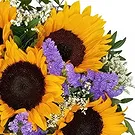 Eschen flori- Raza de soare Buchet/aranjament floral