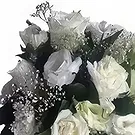 Phitsanulok flowers  -  Mother's Pride  Flower Bouquet/Arrangement