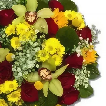 Bergen rože- Mellow Yellow Cvet šopek/dogovor
