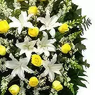 Chinda flowers  -  Safe Haven Flower Bouquet/Arrangement