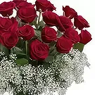 Bonilla flowers  -  Impressive Red Blooms Flower Bouquet/Arrangement