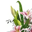 브랴고보 꽃- 오리엔탈 위프 꽃다발/꽃꽂이