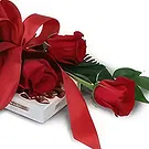 Begunci Blumen Florist- Wunder in der Verpackung Bouquet/Blumenschmuck