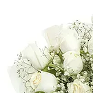 Sofia flowers  -  Touch with Care Flower Bouquet/Arrangement