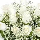 Sofia flowers  -  Touch with Care Flower Bouquet/Arrangement