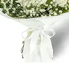 Sofia flowers  -  Touch with Care Flower Bouquet/Arrangement